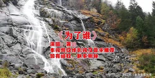 尹海角,探索创新与变革的领军人物