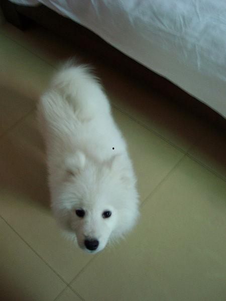 沐沐的海角,探寻神秘海角的浪漫之旅