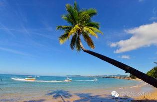 椰风海角,探寻南海之滨的神秘魅力