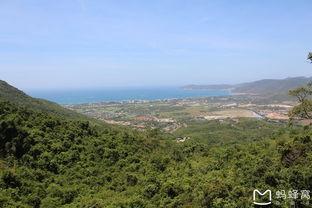 海角的森林,神秘海域的绿色秘境探寻记