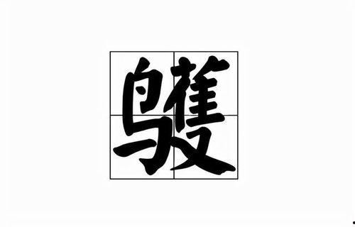 海角鹱读音,探寻神秘海鸟的音韵之旅