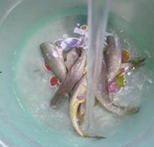 小黄鱼海角面,海洋奇观与渔村风情